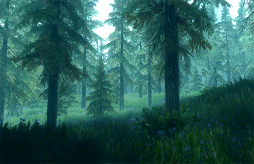 Forest Furtrees