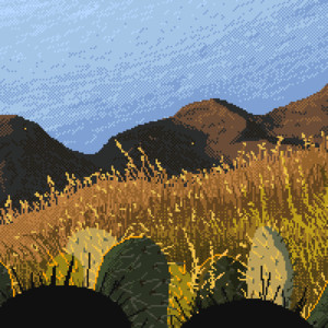 Cactus Field